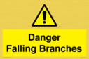 danger-falling-branches~